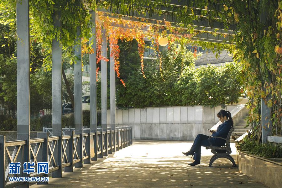 （全面建成小康社會&ldquo;百城千縣萬村調(diào)研行&rdquo;&middot;圖文互動）（2）武漢：從&ldquo;見縫插樓&rdquo;到&ldquo;見縫播綠&rdquo;