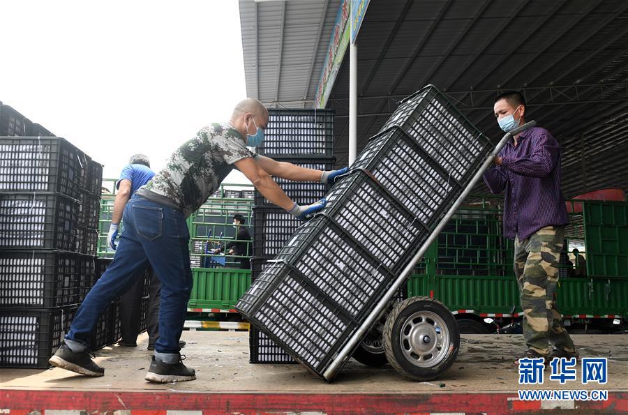 (新華全媒頭條·圖文互動(dòng))(10)暢通雙循環(huán) 共享大市場(chǎng)——從東博會(huì)看中國(guó)新發(fā)展格局