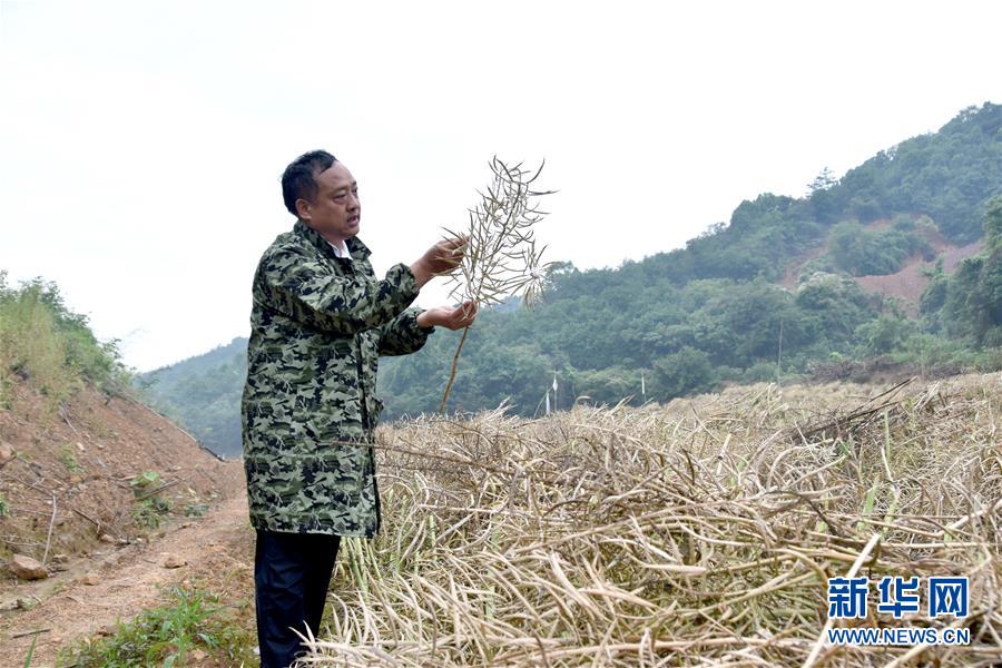 （代表委員履職&middot;圖文互動）（1）&ldquo;我是農(nóng)民代表，始終關(guān)注農(nóng)村&rdquo;&mdash;&mdash;全國人大代表沈昌健的履職故事