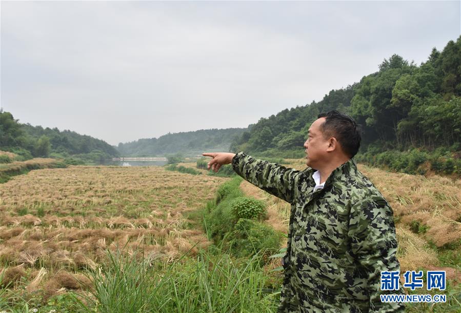 （代表委員履職&middot;圖文互動）（2）&ldquo;我是農(nóng)民代表，始終關(guān)注農(nóng)村&rdquo;&mdash;&mdash;全國人大代表沈昌健的履職故事