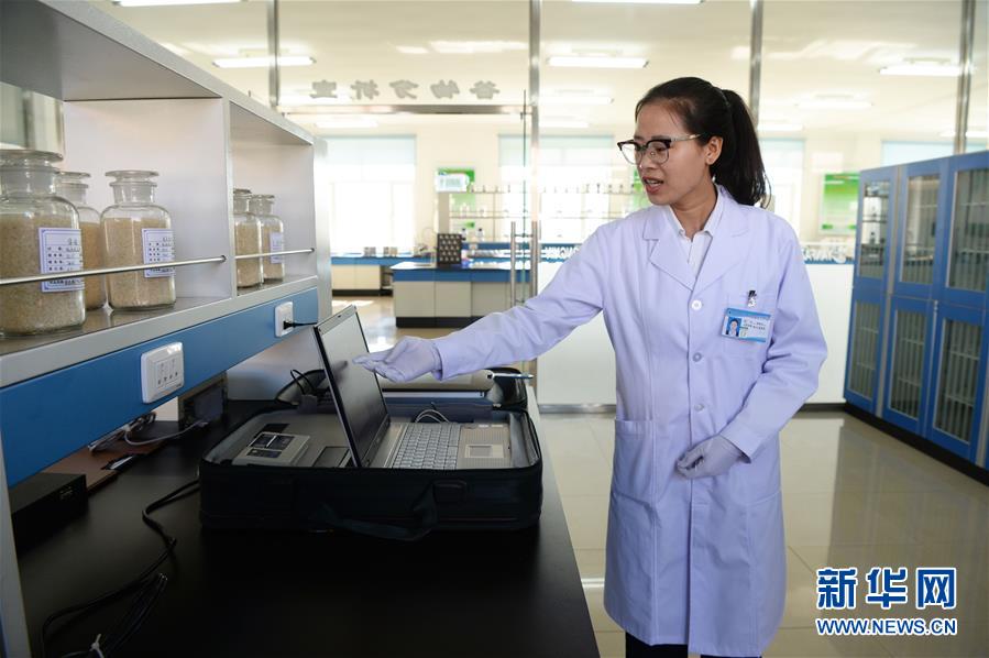 （新華全媒頭條&middot;圖文互動）（6）奮力書寫東北振興的時代新篇&mdash;&mdash;習近平總書記調(diào)研東北三省并主持召開深入推進東北振興座談會紀實