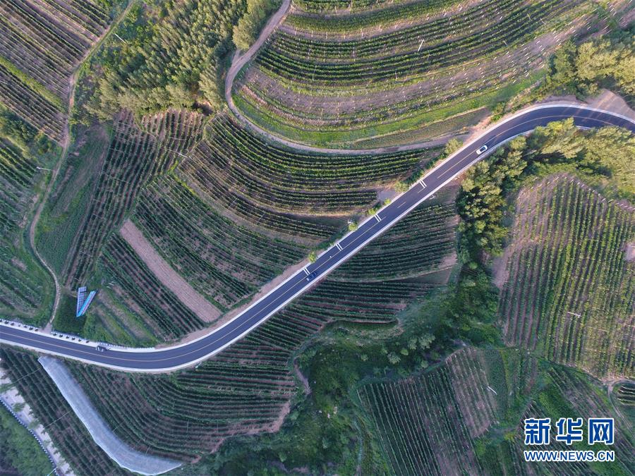 (新華全媒頭條·圖文互動(dòng))(5)心系北疆 情滿草原——習(xí)近平總書記考察內(nèi)蒙古回訪記