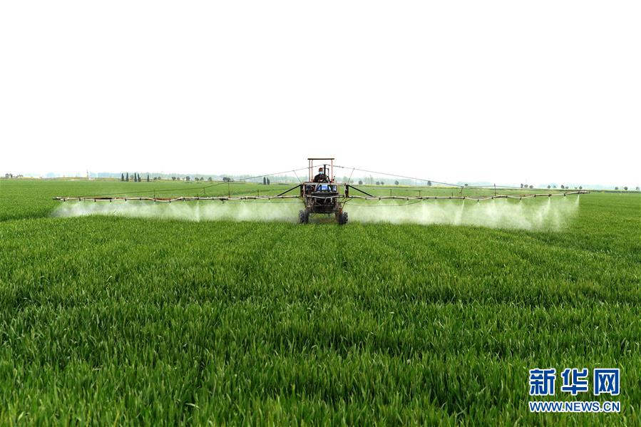 （在習(xí)近平新時代中國特色社會主義思想指引下&mdash;&mdash;新時代新作為新篇章&middot;習(xí)近平總書記關(guān)切事&middot;圖文互動）（10）新農(nóng)事、新希望&mdash;&mdash;夏收前田間新動態(tài)掃描