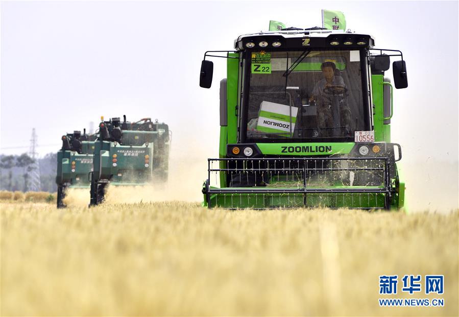 （在習(xí)近平新時(shí)代中國(guó)特色社會(huì)主義思想指引下&mdash;&mdash;新時(shí)代新作為新篇章&middot;習(xí)近平總書(shū)記關(guān)切事&middot;圖文互動(dòng)）（12）讓農(nóng)民挑上&ldquo;金扁擔(dān)&rdquo;&mdash;&mdash;農(nóng)業(yè)現(xiàn)代化的生動(dòng)實(shí)踐掃描