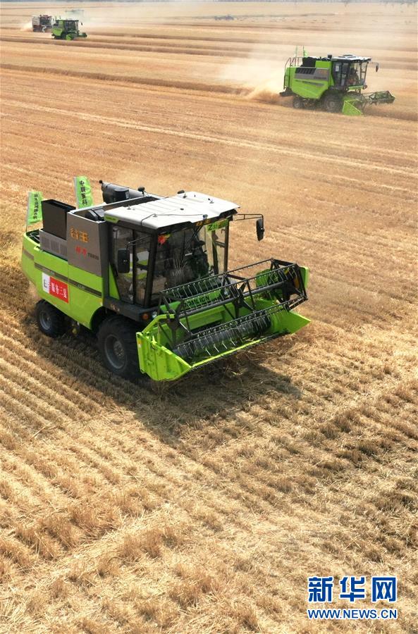 （在習(xí)近平新時(shí)代中國(guó)特色社會(huì)主義思想指引下&mdash;&mdash;新時(shí)代新作為新篇章&middot;習(xí)近平總書(shū)記關(guān)切事&middot;圖文互動(dòng)）（13）讓農(nóng)民挑上&ldquo;金扁擔(dān)&rdquo;&mdash;&mdash;農(nóng)業(yè)現(xiàn)代化的生動(dòng)實(shí)踐掃描