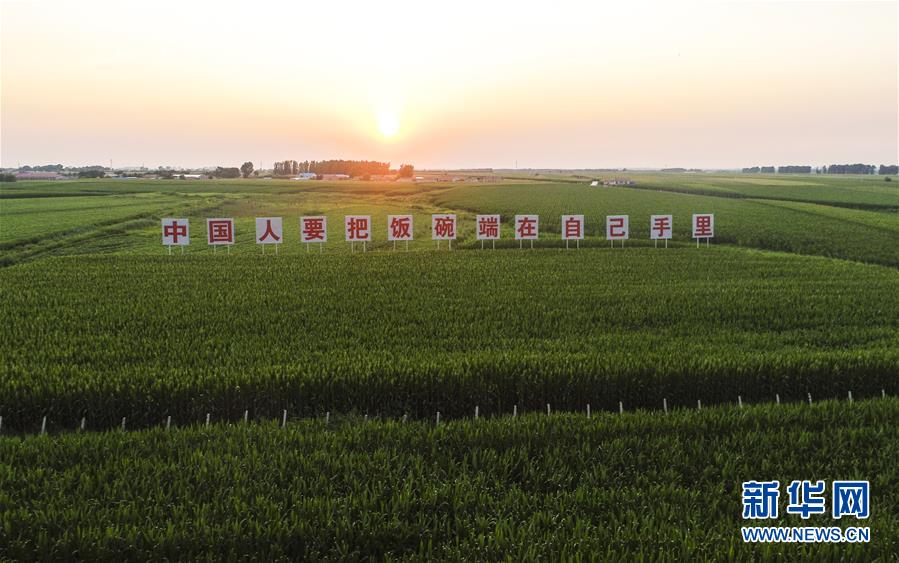 （在習(xí)近平新時代中國特色社會主義思想指引下&mdash;&mdash;新時代新作為新篇章&middot;習(xí)近平總書記關(guān)切事&middot;圖文互動）（1）讓百姓吃得飽還要吃得好&mdash;&mdash;夯實糧食安全基礎(chǔ)端牢中國飯碗