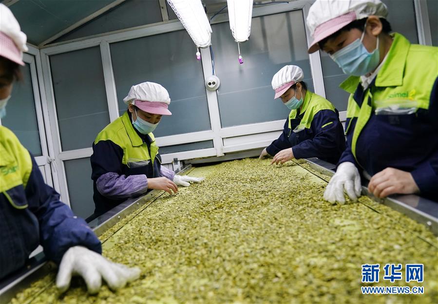 （在習(xí)近平新時代中國特色社會主義思想指引下&mdash;&mdash;新時代新作為新篇章&middot;習(xí)近平總書記關(guān)切事&middot;圖文互動）（5）激發(fā)每個經(jīng)濟&ldquo;細胞&rdquo;的活力&mdash;&mdash;千方百計把市場主體保護好