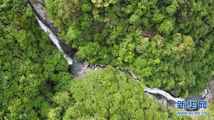 (在習(xí)近平新時(shí)代中國(guó)特色社會(huì)主義思想指引下——新時(shí)代新作為新篇章·習(xí)近平總書(shū)記關(guān)切事·圖文互動(dòng))(6)長(zhǎng)三角的新答卷——“十三五”收官之年的長(zhǎng)三角一體化新故事