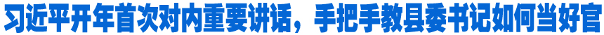 習(xí)近平開(kāi)年首次對(duì)內(nèi)重要講話，手把手教縣委書(shū)記如何當(dāng)好官