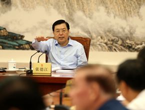 十二屆全國人大常委會第四十八次委員長會議