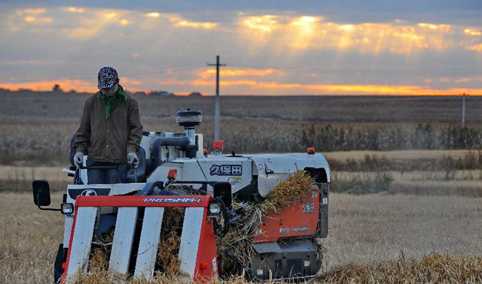 &ldquo;天下糧倉(cāng)&rdquo;秋收?qǐng)D