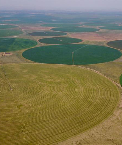 科爾沁沙地上飄動著&ldquo;綠海&rdquo;