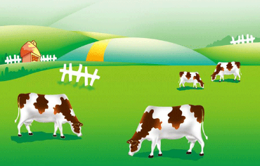 醬紫的內(nèi)蒙古，約嗎