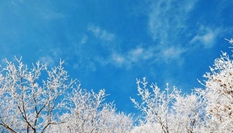 湖北?？蹈呱届F凇美如畫