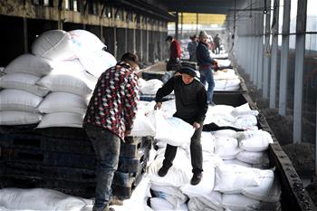 安徽：農(nóng)資&ldquo;春運(yùn)&rdquo;助春耕