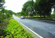 習近平：建&ldquo;四好農村路&rdquo;