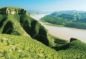 張建龍：&ldquo;三北工程&rdquo;實(shí)現(xiàn)生態(tài)、經(jīng)濟(jì)、社會(huì)效益&ldquo;多贏&rdquo;