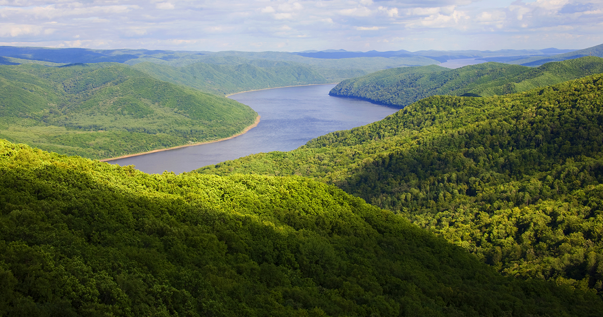 張建龍：&ldquo;三北工程&rdquo;實(shí)現(xiàn)生態(tài)、經(jīng)濟(jì)、社會(huì)效益&ldquo;多贏&rdquo;