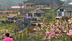 湖南湘西：趕&ldquo;桃花會(huì)&rdquo;享春光