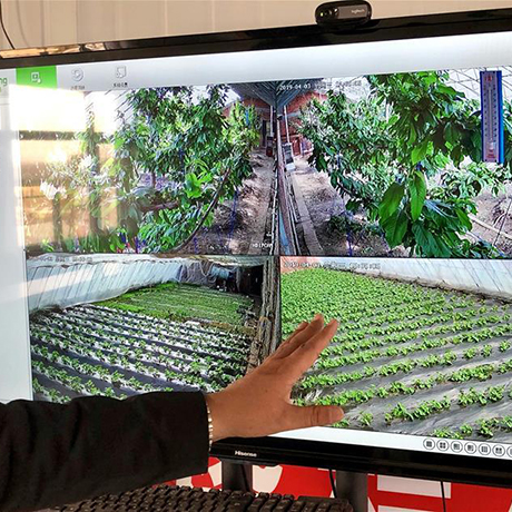 &ldquo;互聯(lián)網(wǎng)+&rdquo;讓村里人過上&ldquo;智慧生活&rdquo;