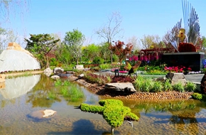 從媯水河到白洋淀 見證同一個(gè)綠色夢(mèng)想