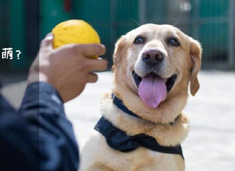 為了&ldquo;破冰&rdquo;，它們英勇無(wú)畏！