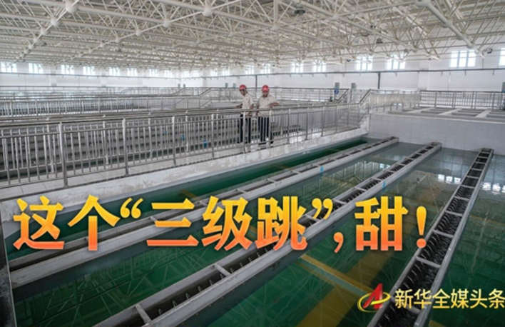 這個&ldquo;三級跳&rdquo;，甜！