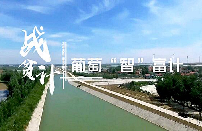 戰(zhàn)貧計丨葡萄&ldquo;智&rdquo;富計