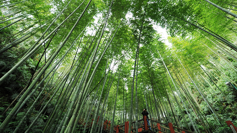 合作共治、責(zé)任共擔(dān)、效益共享&mdash;&mdash;赤水河流域跨省生態(tài)補(bǔ)償取得積極成效