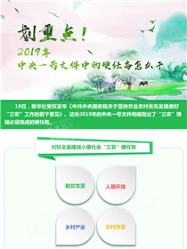 劃重點(diǎn)！2019年中央一號文件中的硬任務(wù)怎么干