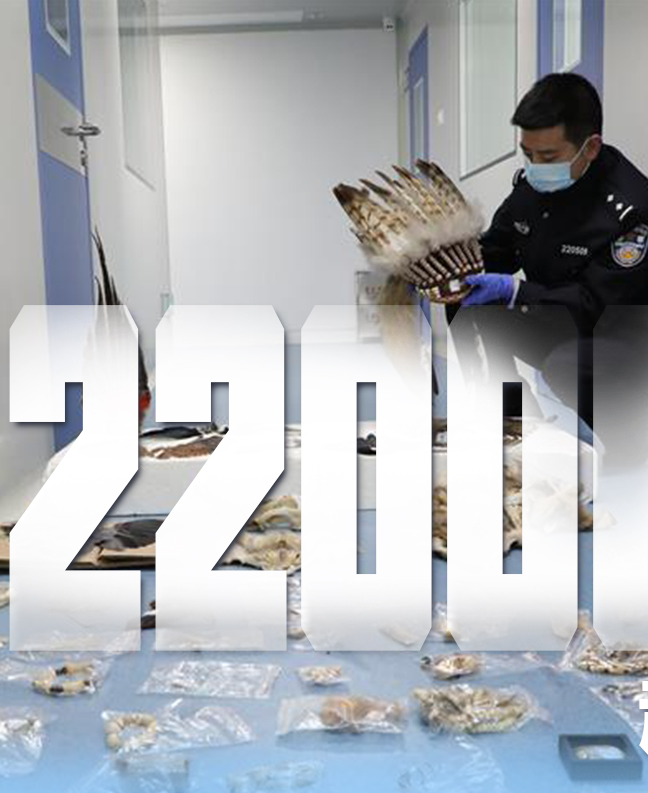 抗疫有&ldquo;法&rdquo;，就是這么給力！