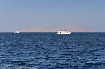 埃及總統(tǒng)批準(zhǔn)向沙特&ldquo;還島&rdquo;協(xié)議