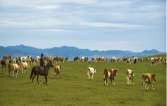 華能北方公司：奔小康，咱肯定能