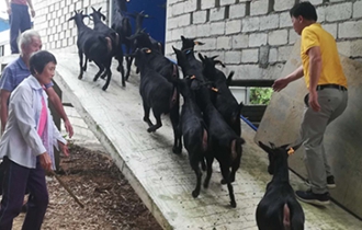 華能?？陔姀S：脫貧攻堅(jiān)齊心力 貧困鄉(xiāng)村煥新顏