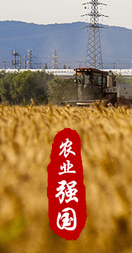 農(nóng)業(yè)強國是社會主義現(xiàn)代化強國的根基。