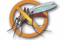 夏季，常見蚊蟲如何應(yīng)對