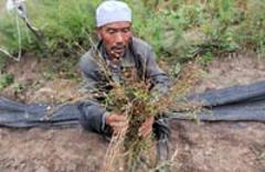 野生動(dòng)物與民&ldquo;爭(zhēng)&rdquo;利