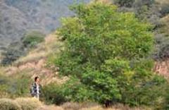 護(hù)林員李強(qiáng)的&ldquo;羅山之戀&rdquo;