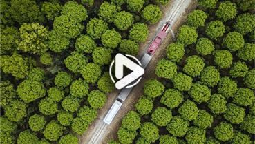 第十一集：你好！地球衛(wèi)士