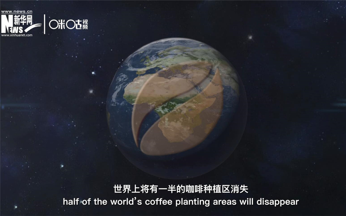 科學(xué)家預(yù)測(cè)到三十年后，世界上將有一半的咖啡種植區(qū)消失