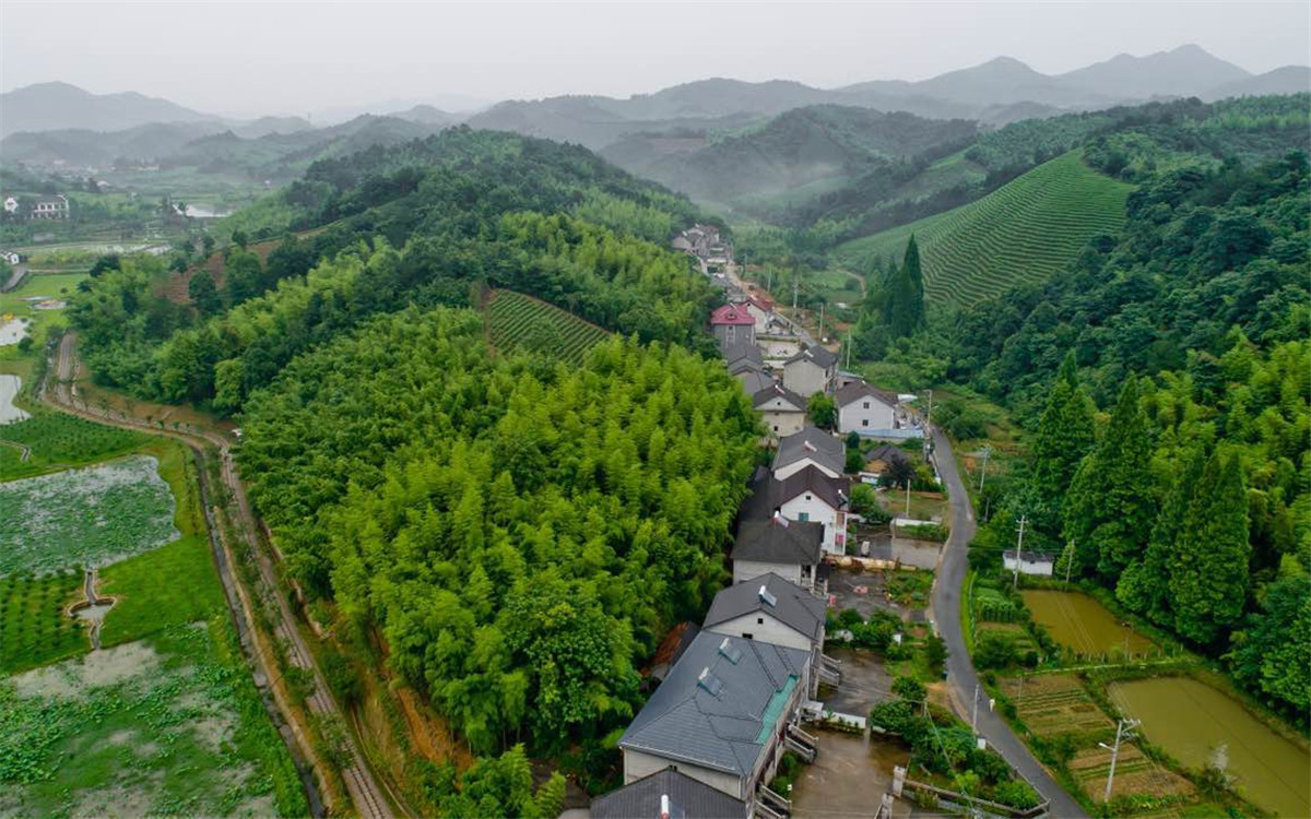 從2003年起，浙江省開展了&ldquo;千村示范、萬村整治&rdquo;工程