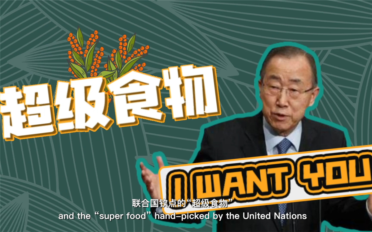 聯(lián)合國將藜麥視為抗擊饑餓的&ldquo;超級食物&rdquo;，大力推廣