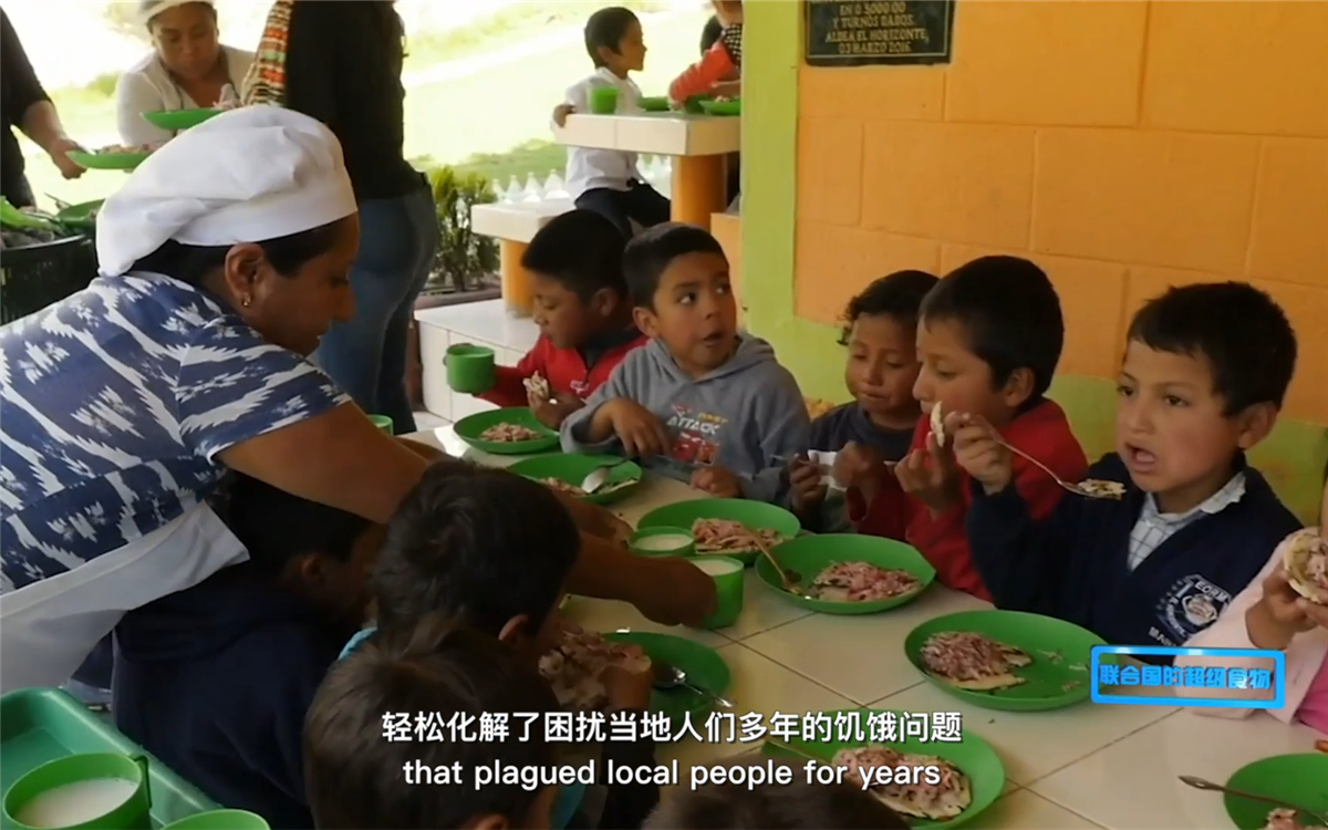 藜麥的蹤跡遍布北美、歐洲、亞洲和非洲多地