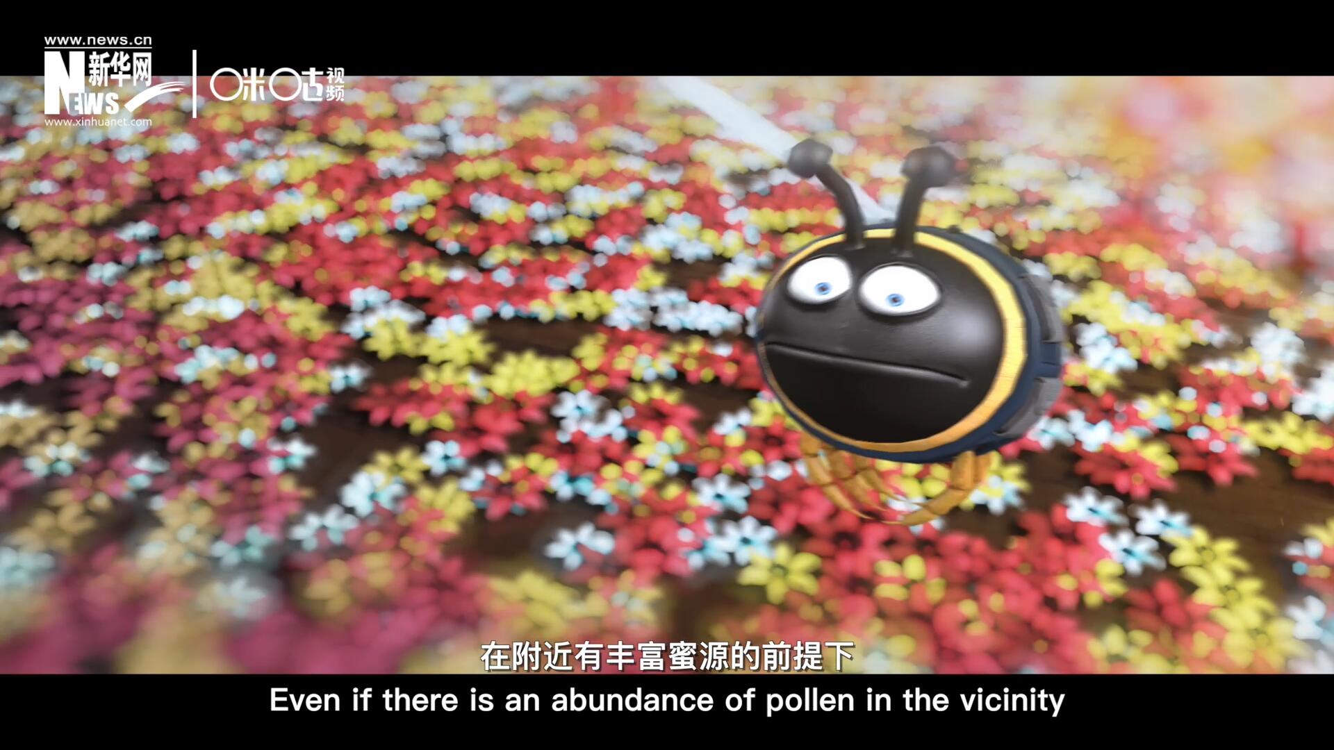 你知道一只蜜蜂采一公斤蜜有多辛苦嗎？據(jù)統(tǒng)計，在附近有豐富蜜源的前提下，一只蜜蜂大約需要飛行四萬千米