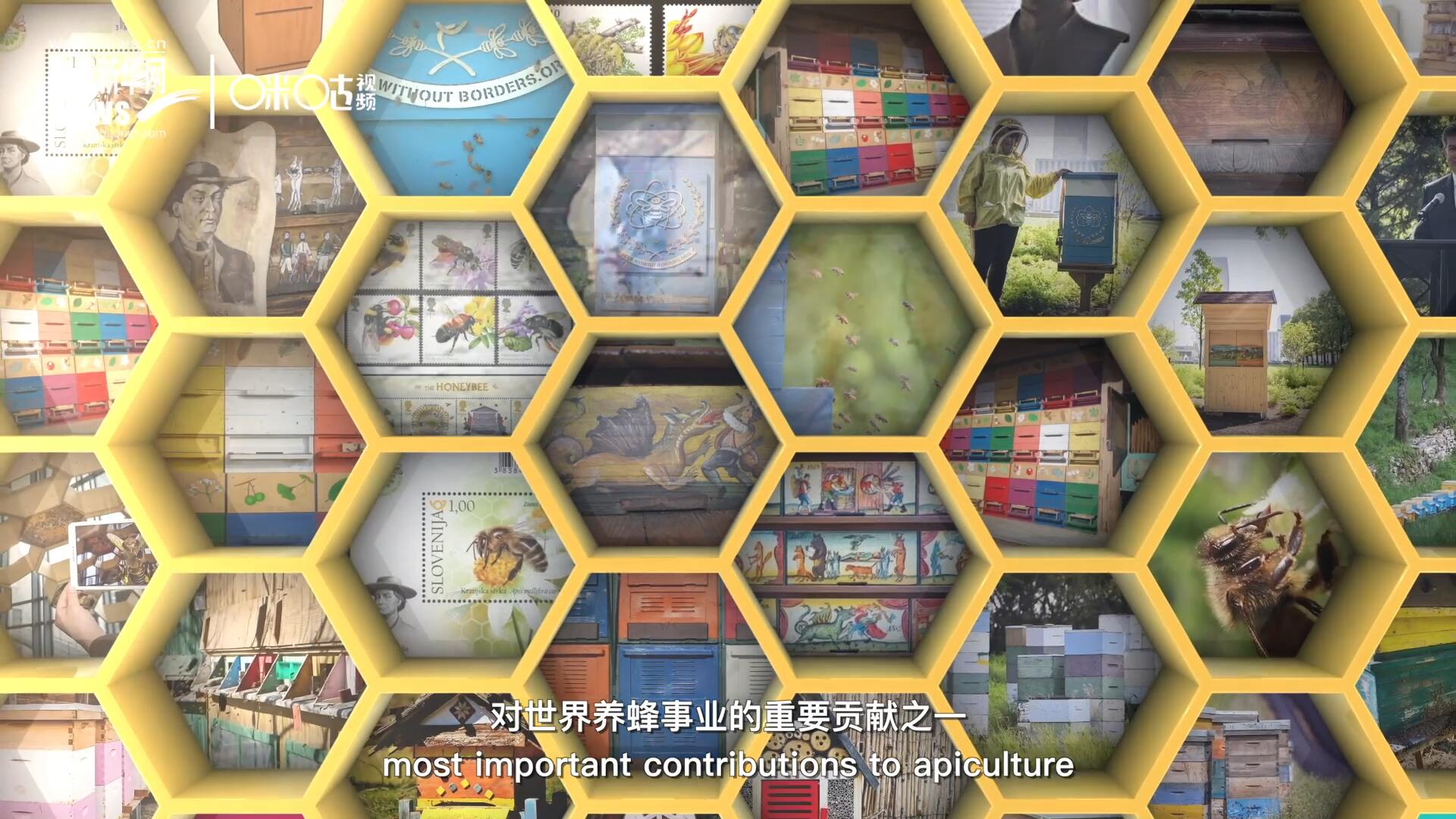 他開始用色彩豐富的畫作來裝飾蜂巢的前板，幫助不同蜂群按照習性和顏色順利找到自己的蜂巢