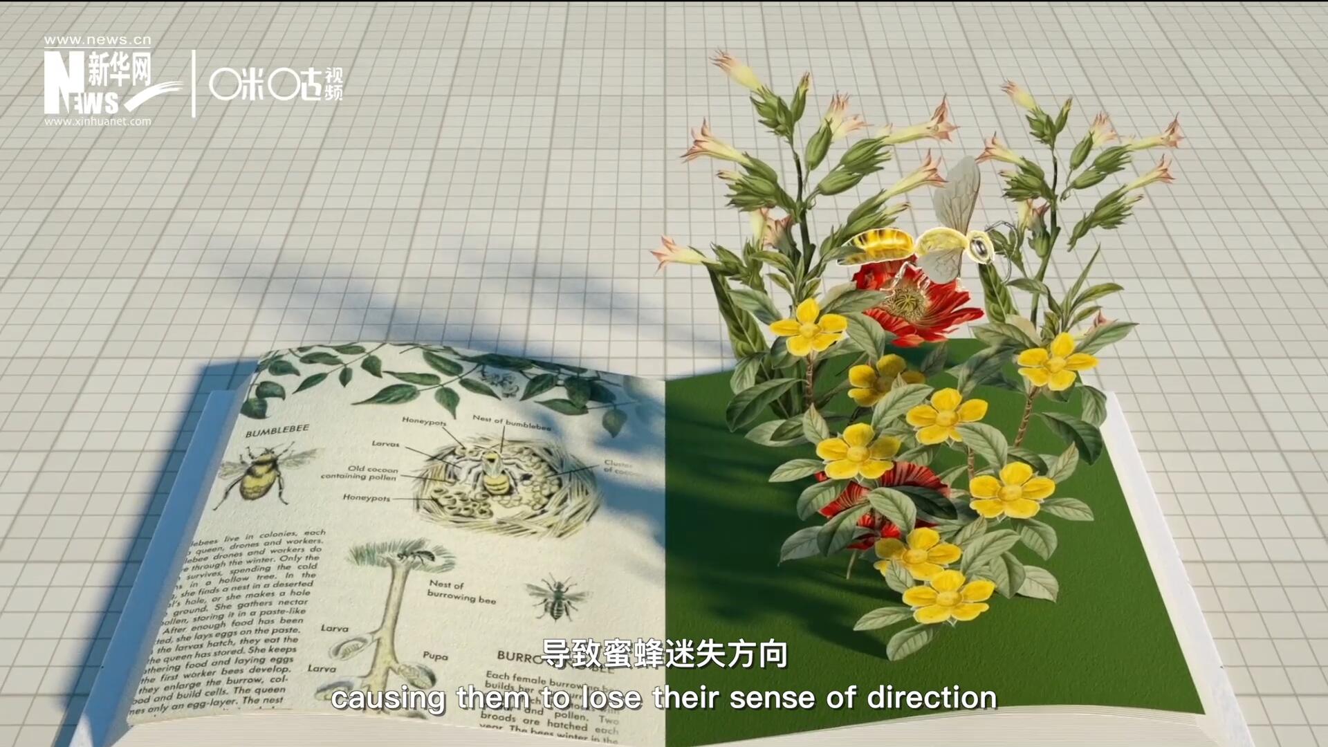 殺蟲劑會破壞蜜蜂的神經(jīng)系統(tǒng)，導致蜜蜂迷失方向，無法回到蜂房，還會降低蜜蜂的抵抗力