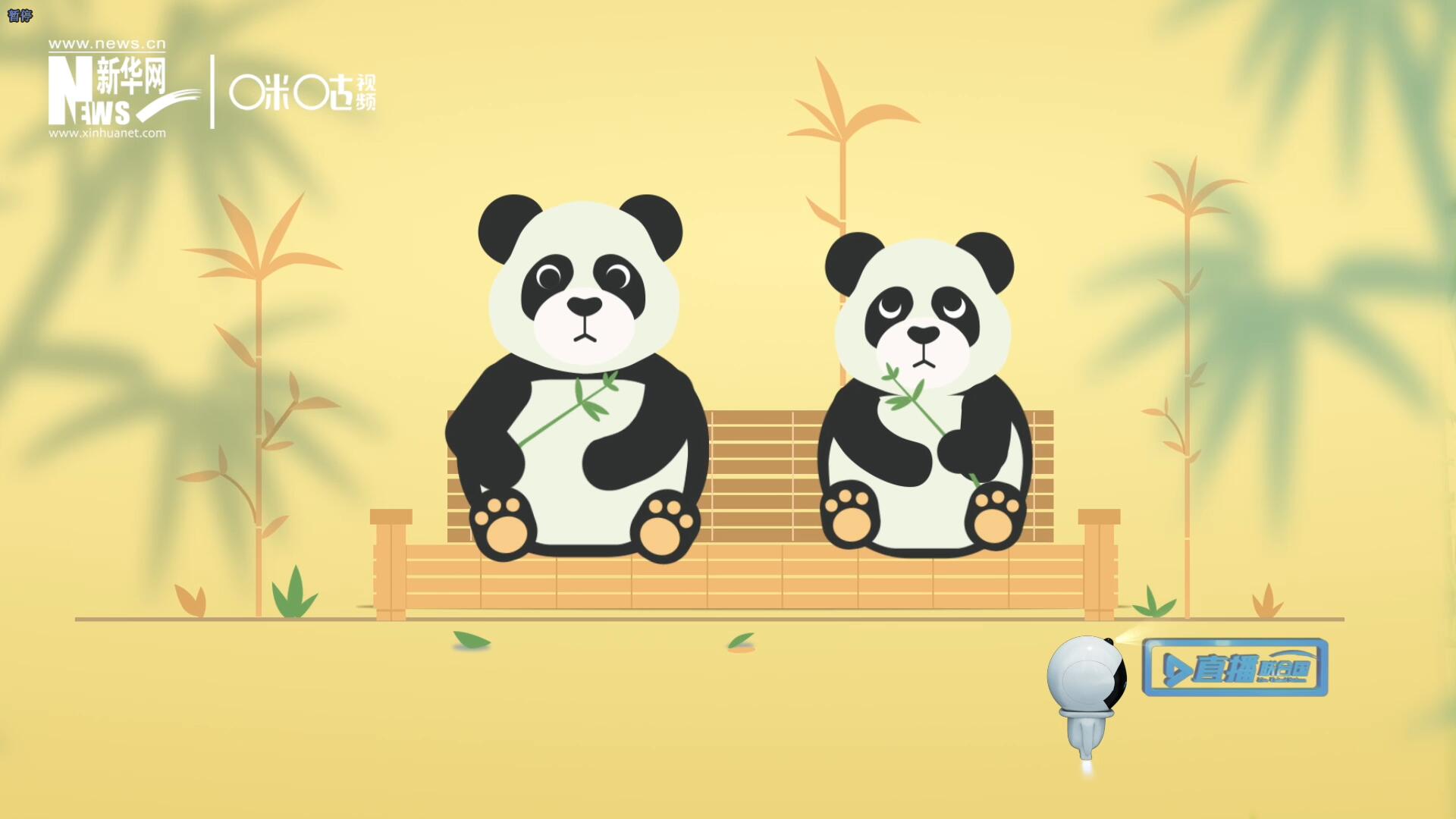 &ldquo;哥哥你看，又有人來看我們了。&rdquo;&ldquo;有什么奇怪的，我們可是聯(lián)合國&lsquo;最萌&rsquo;的大使?。?rdquo;。