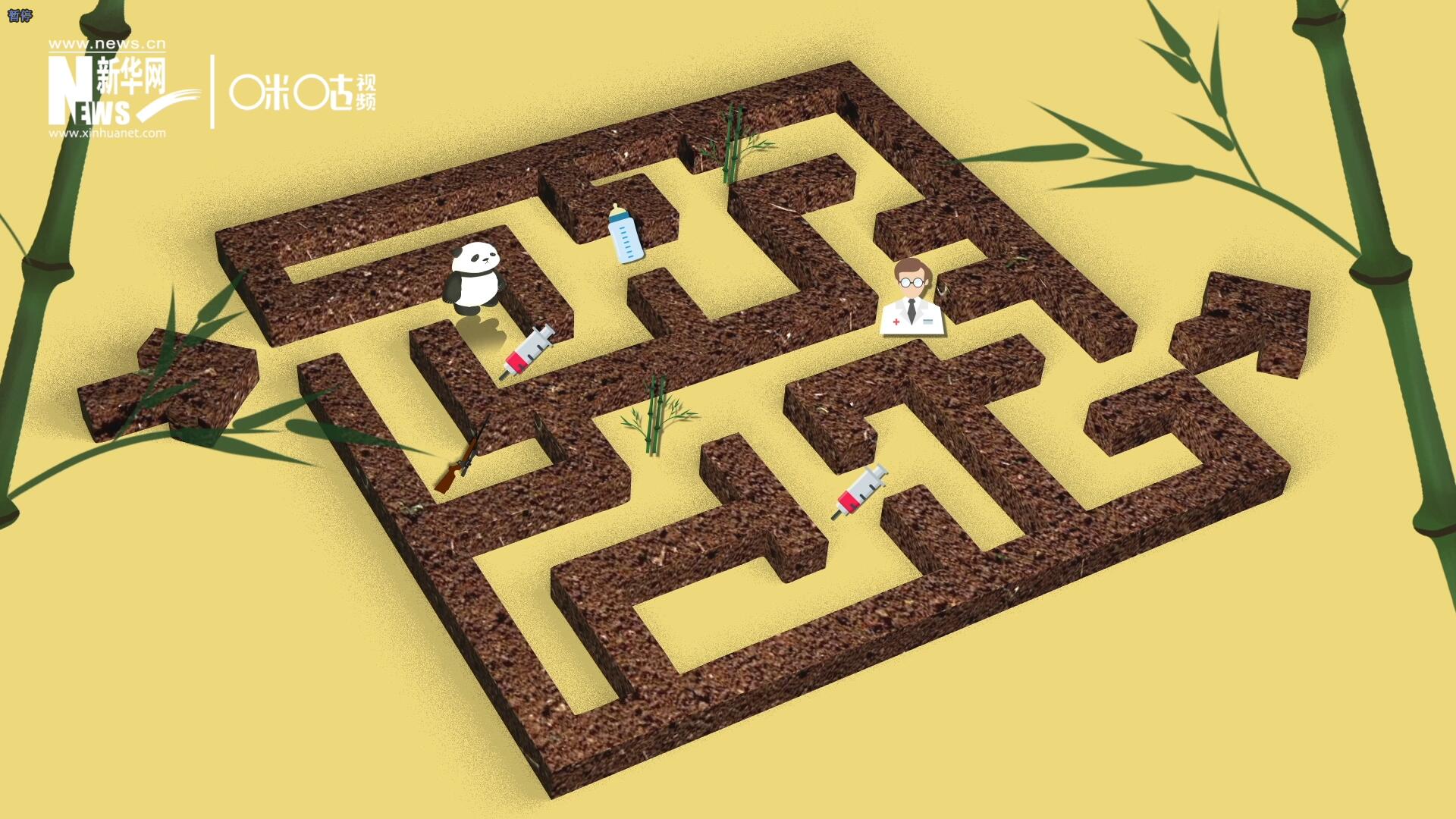 2016年，國際自然保護聯(lián)盟將大熊貓的物種瀕危等級，從&ldquo;瀕危&rdquo;下降到了&ldquo;易危&rdquo;。