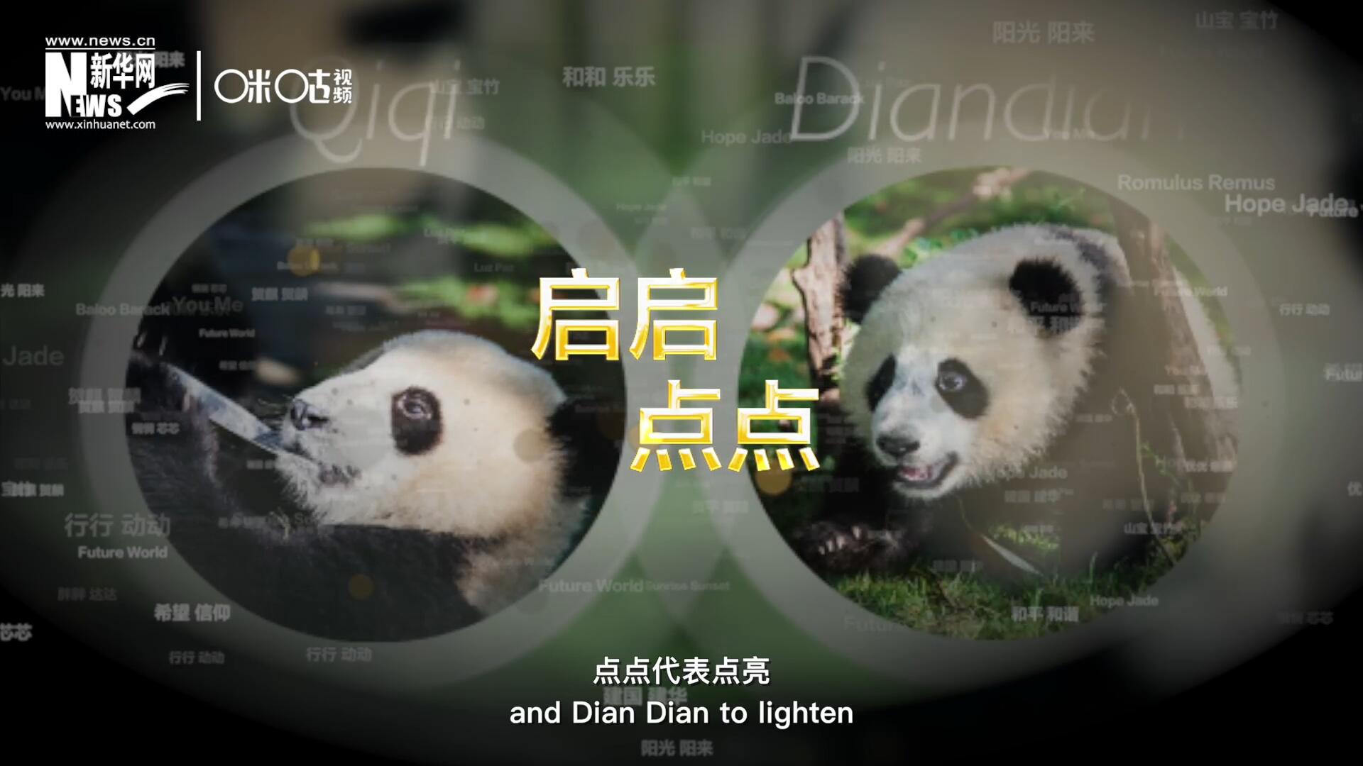 啟啟代表&ldquo;啟發(fā)&rdquo;，點點代表&ldquo;點亮&rdquo;，象征著2030年可持續(xù)發(fā)展議程 的&ldquo;起點&rdquo;，也象征著全球可持續(xù)發(fā)展路徑的新起點。