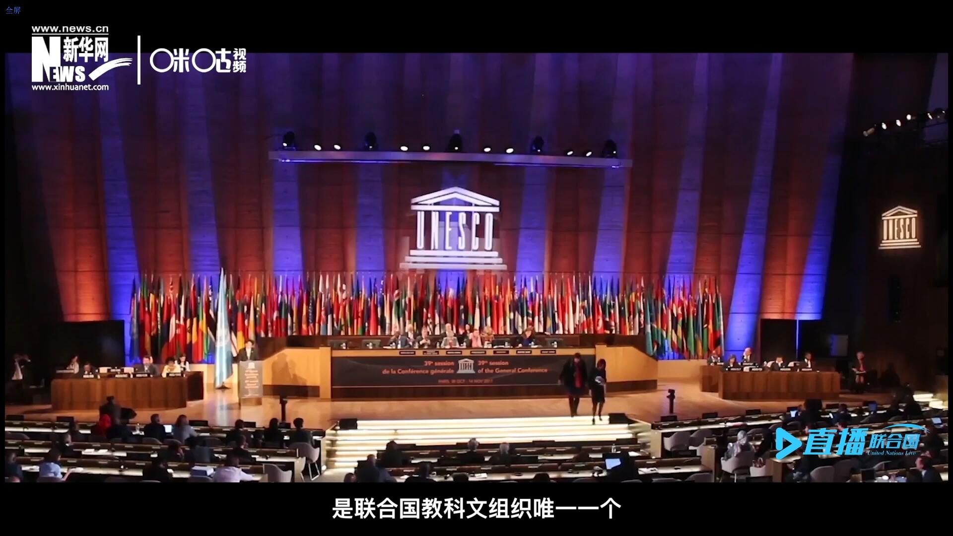 民間藝術國際組織成立于1979年，是聯(lián)合國教科文組織唯一一個以保護和挖掘國際民間藝術為工作中心的國際機構(gòu)。